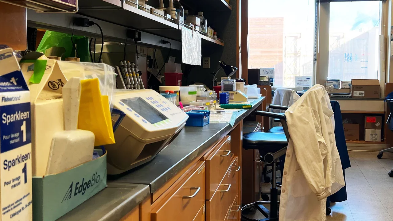 View of the Lai Lab.