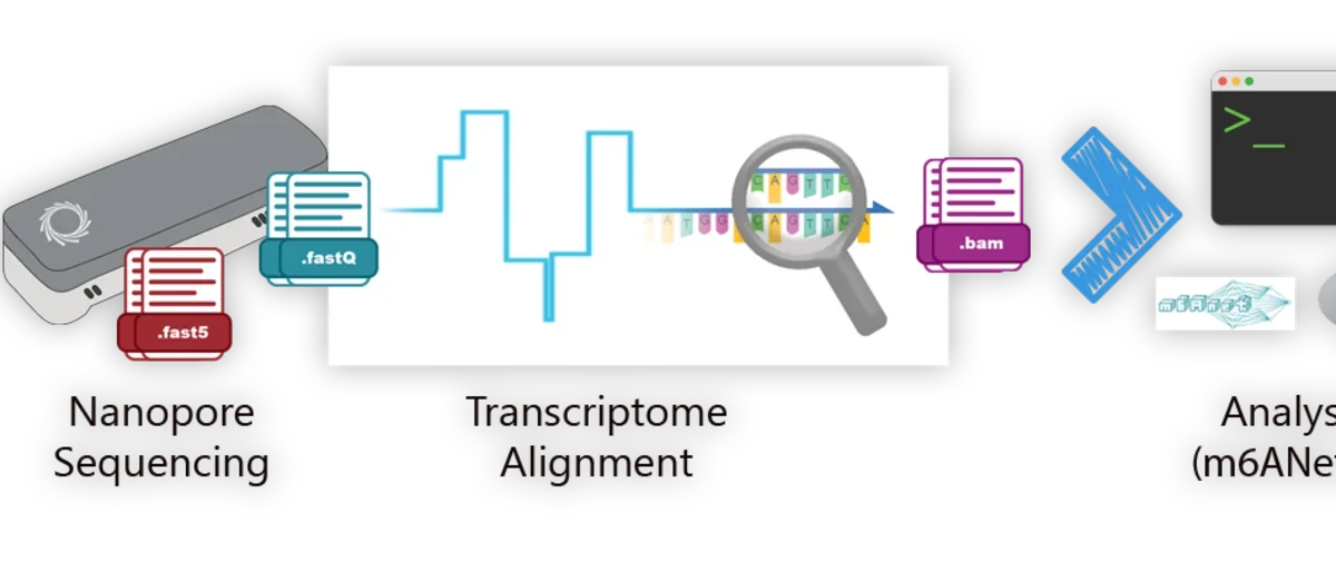 The Oxford Nanopore Technology's minION system.