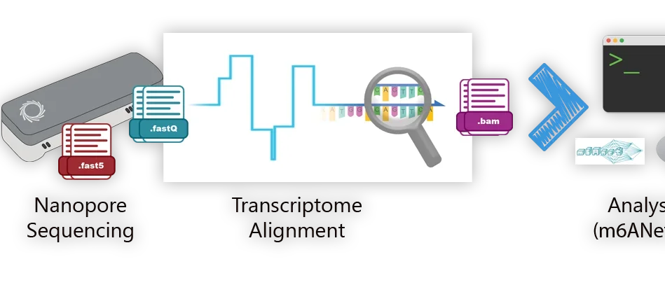 The Oxford Nanopore Technology's minION system.